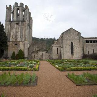 Jardin monastique de l'Abbaye de Lagrasse