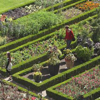 JARDIN DOMINIQUE ALEXANDRE GODRON