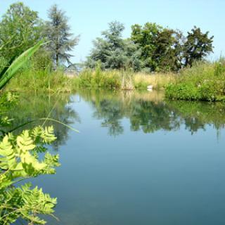 LES JARDINS DE L'EAU DU PRÉ CURIEUX