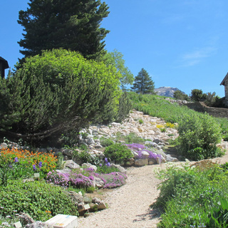 Jardin du Lautaret