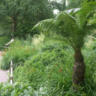 PARC ZOOLOGIQUE DE CHAMPRÉPUS