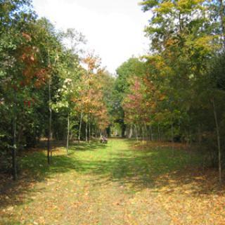 PARC DU CHÂTEAU D'HEUDICOURT