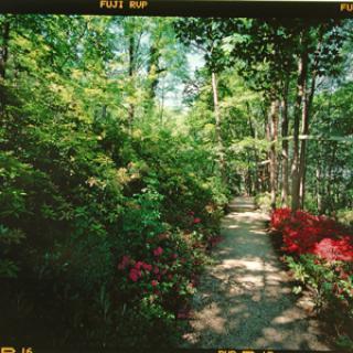 LES JARDINS DE L'IMAGINAIRE