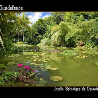 JARDIN BOTANIQUE DE DESHAIES