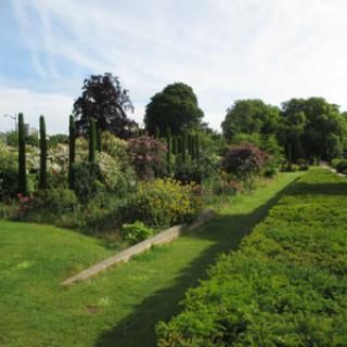 JARDIN DES PLANTES D'ORLÉANS