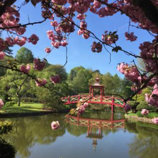 Parc floral d'Apremont