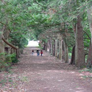 LE PARC AUX BAMBOUS