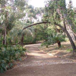 LE PLANTIER DE COSTEBELLE