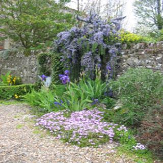 HERBARIUM DES REMPARTS