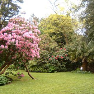 PARC EMMANUEL LIAIS