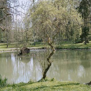 PARC THERMAL