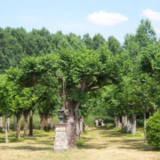 L'ABBAYE DE PONTLEVOY