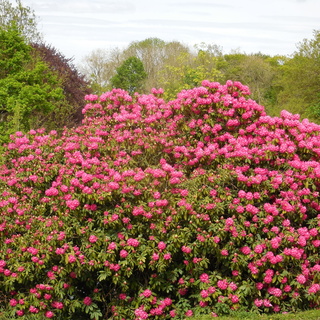 Parc du Tertre