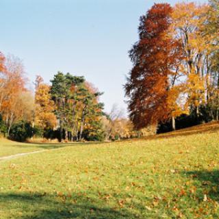 PARC DE LA FONTAINE AUX PIGEONS