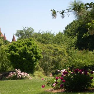 PARC BOTANIQUE DE NEUVIC