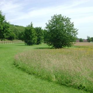 LE PARC DE ROUELLES