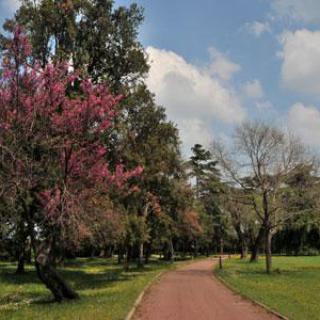 Parc du Château d'Espeyran