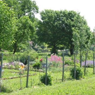 LES JARDINS DE LA BIGOTIE