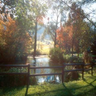 JARDIN BOTANIQUE JEAN-MARIE PELT