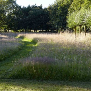 Jardin du Lansau