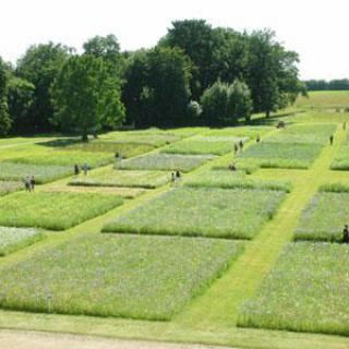 PARC DU CHÂTEAU DE VALENÇAY