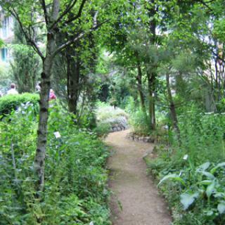 JARDIN BOTANIQUE DE SANNOIS DES PLANTES MÉDICINALES