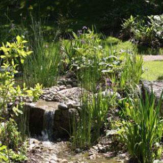 Le Jardin des Faïenciers