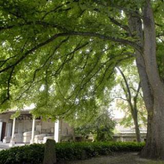 Jardin du Musée de la Princerie