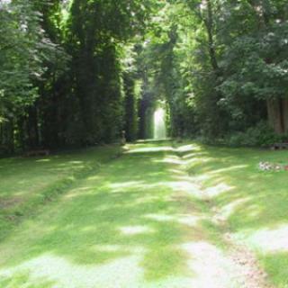 PARC DU CHÂTEAU DE VERSIGNY