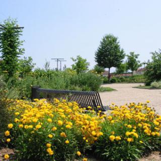 Les Jardins de Bellevue