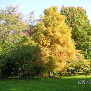 JARDIN DE MARDALOUX