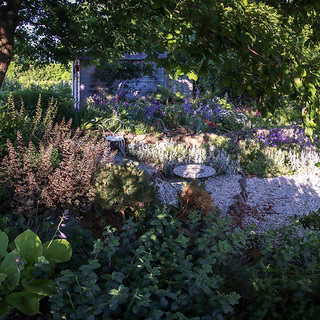 Jardin des Framboises de la Truyère