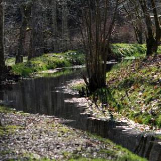 PARC ARBORETUM DE SAINT-SETIERS