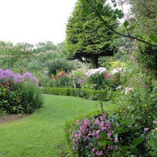 LE JARDIN DES VIEILLES VIGNES