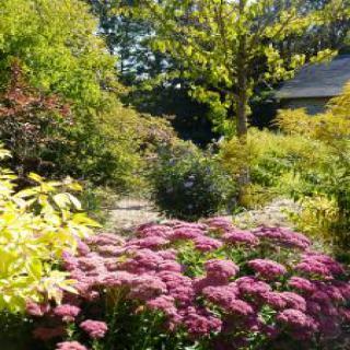 LES JARDINS DES RENAUDIES