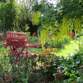 LE JARDIN DE MIREILLE EN TOURAINE ANGEVINE