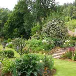 LES JARDINS DE MON MOULIN