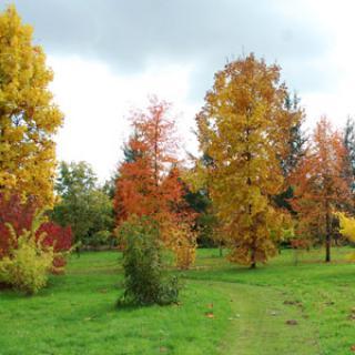 Arboretum Adeline