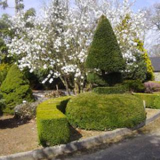 JARDIN BOTANIQUE DES MONTAGNES NOIRES