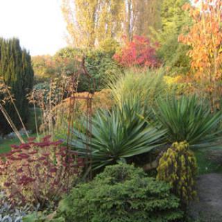 JARDIN « ENTRE CHARMILLES ET BUIS »