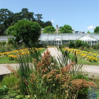 JARDIN DES PLANTES DE CAEN