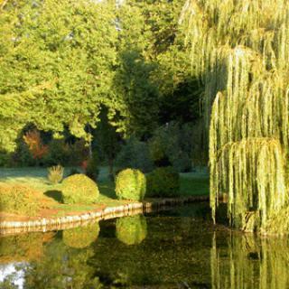 PARC ET JARDIN DE BOSMONT