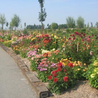 PARC FLORAL A LA FERME