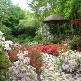 JARDIN D'ATMOSPHÈRE DU PETIT BORDEAUX