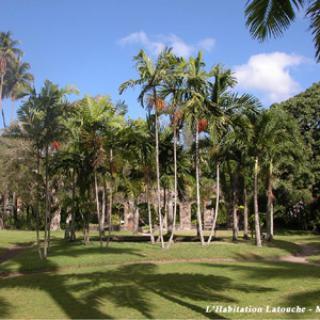 HABITATION ANSE LATOUCHE