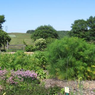 JARDINS DU DOMAINE DE LA CHAIZE