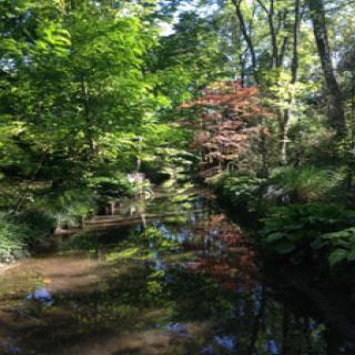 JARDIN ARBORETUM D'ILEX