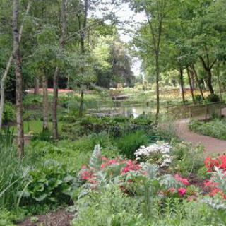 PARC FLORAL ET TROPICAL DE LA COURT D'ARON