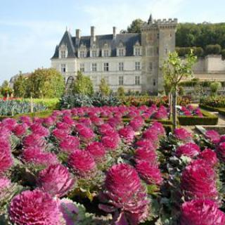 Château et Jardins de Villandry