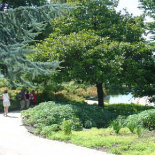 JARDIN DES PLANTES